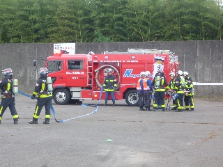 �o���N�P���A